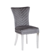 Eva 2 Piece Stainless Steel Legs Chair Finish with Velvet Fabric in Gray