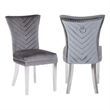Eva 2 Piece Stainless Steel Legs Chair Finish with Velvet Fabric in Gray
