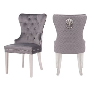 Simba Stainless Steel 2 Piece Chair Finish with Velvet Fabric in Dark Gray
