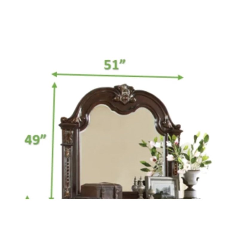 Roma Traditional Style Mirror made with Wood in Dark Walnut