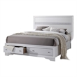 Matrix Traditional Wood Queen Storage Bed in White