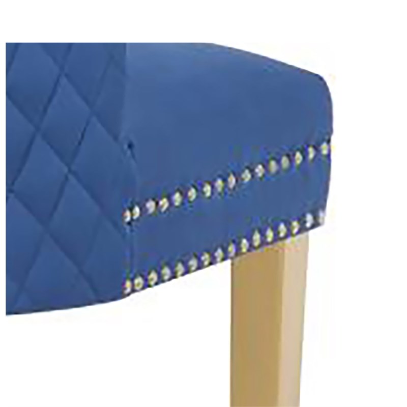 Simba Gold 2 Piece Dinning Chair Finish with Velvet Fabric in Navy