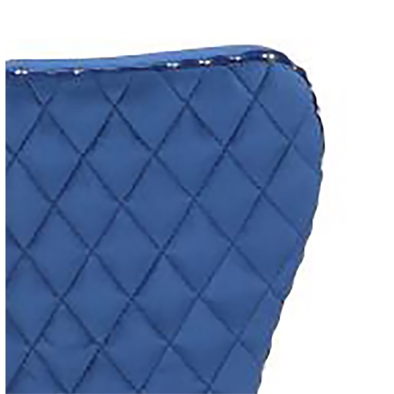 Simba Gold 2 Piece Dinning Chair Finish with Velvet Fabric in Navy