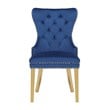 Simba Gold 2 Piece Dinning Chair Finish with Velvet Fabric in Navy
