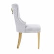 Simba Gold 2 Piece Dinning Chair Finish with Velvet Fabric in Light Gray