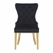 Simba Gold 2 Piece Dinning Chair Finish with Velvet Fabric in Black