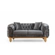 Vanessa 2 Piece Tufted Upholstery Sofa set finished with Velvet Fabric in Gray