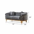 Vanessa 2 Piece Tufted Upholstery Sofa set finished with Velvet Fabric in Gray