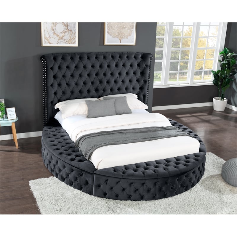 Hazel King Size Tufted Upholstery Storage Bed made with Wood in Black