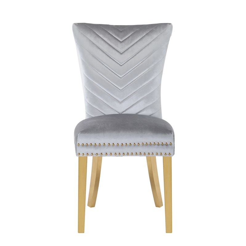 Eva 2 Piece Gold Legs Dining Chairs Finished with Velvet Fabric in Silver