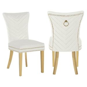 Eva 2 Piece Gold Legs Dining Chairs Finished with Velvet Fabric in Beige