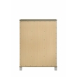Samantha Modern Style 5-Drawer Chest Made with Wood in Silver