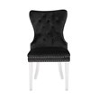 Erica 2 Piece Stainless Steel Legs Chair Finish with Velvet Fabric in Black