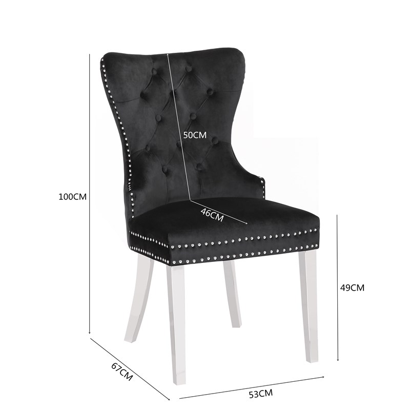 Erica 2 Piece Stainless Steel Legs Chair Finish with Velvet Fabric in Black