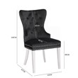 Erica 2 Piece Stainless Steel Legs Chair Finish with Velvet Fabric in Black