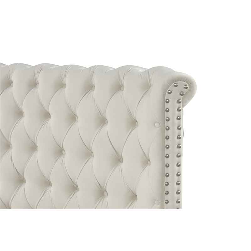 Hazel King Tufted Upholstery Storage Bed made with Wood in Cream