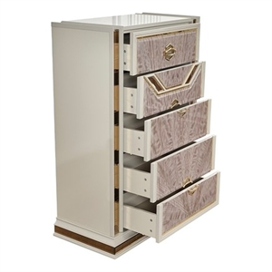 Omary Traditional Style Chest with gold Accent made with Wood in Beige