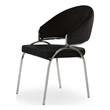 Ruby Contemporary style chair made with Metal & Steel Legs in Black Color