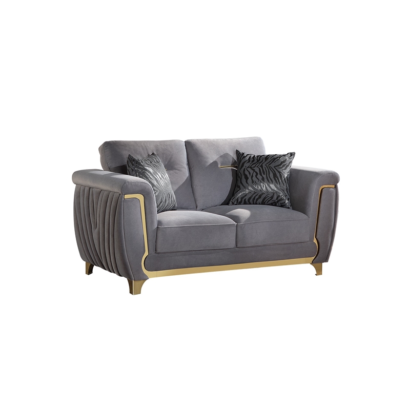 Leena Contemporary Style 2PC Livingroom Set Made with Wood in Gold accent & Gray