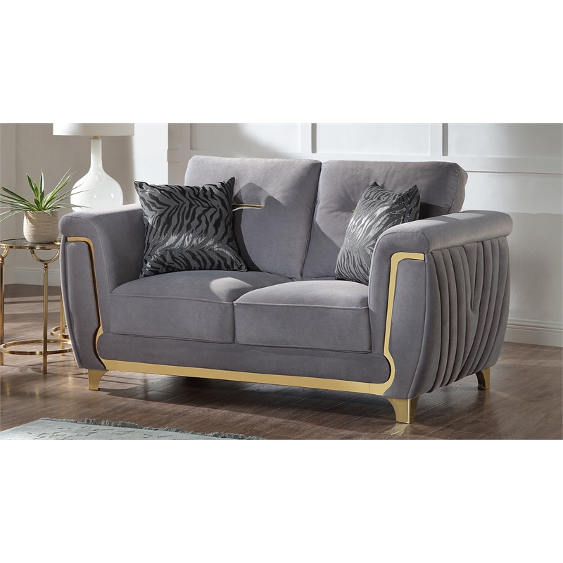 Leena Contemporary Style 2PC Livingroom Set Made with Wood in Gold accent & Gray