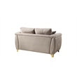 Leena Contemporary Style 2PC Livingroom Set Made with Wood in Beige