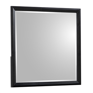 Houston Traditional Style Mirror Made with wood in Walnut