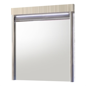 Leonor Modern Style Wood LED Rectangle Bedroom Mirror in Gray