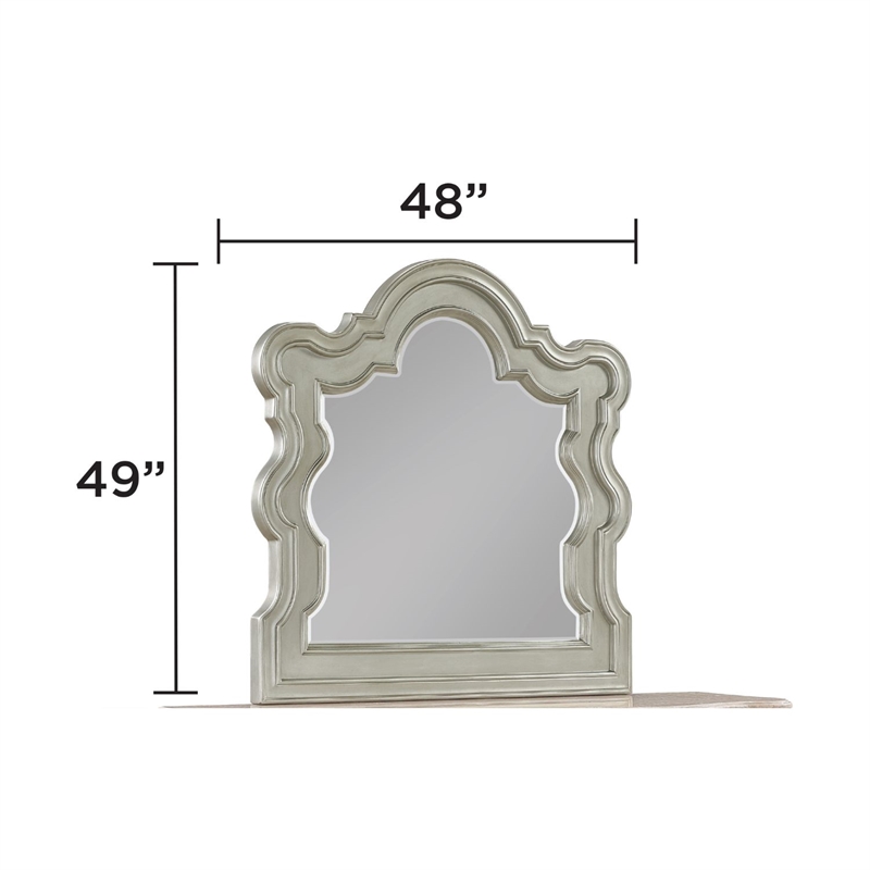 Bella Traditional Style Mirror Made with Wood in Champagne (No Dresser)
