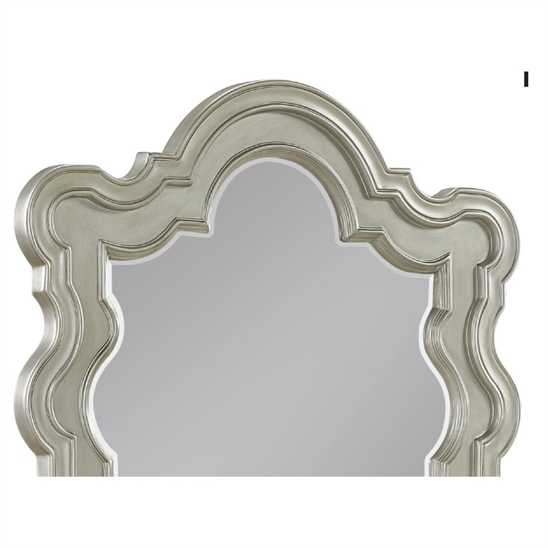 Bella Traditional Style Mirror Made with Wood in Champagne (No Dresser)
