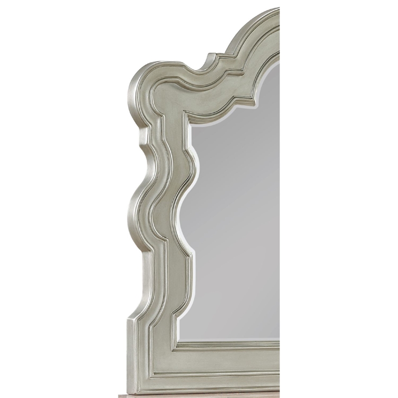 Bella Traditional Style Mirror Made with Wood in Champagne (No Dresser)