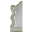 Bella Traditional Style Mirror Made with Wood in Champagne (No Dresser)