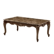 Lotus Traditional Style 3PC Living Room Set in Champagne Gold and Gold Brush