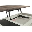 Levan Home Lift Top Coffee Table with 4 Storage Drawers in Two-Tone