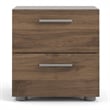 Levan Home Contemporary 2 Drawer Nightstand in Walnut
