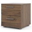 Levan Home Contemporary 2 Drawer Nightstand in Walnut