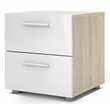 Levan Home Contemporary 2 Drawer Nightstand in Oak & White Gloss