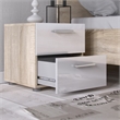 Levan Home Contemporary 2 Drawer Nightstand in Oak & White Gloss