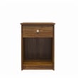 Levan Home Nightstand with Drawer in Brown Oak