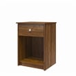 Levan Home Nightstand with Drawer in Brown Oak