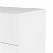 Levan Home Engineered Wood White 2psc Double Dresser and Nightstand Bedroom Set