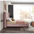 Meridian Furniture Aiden Solid Wood Tufted Velvet Wing Back Full Bed in Pink