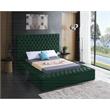 Meridian Furniture Bliss Solid Wood Tufted Velvet Queen Bed in Green