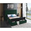 Meridian Furniture Bliss Solid Wood Tufted Velvet Queen Bed in Green