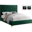 Meridian Furniture Cruz Solid Wood Tufted Velvet Queen Bed in Green