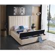 Meridian Furniture Kiki Solid Wood and Velvet Queen Bed in Cream