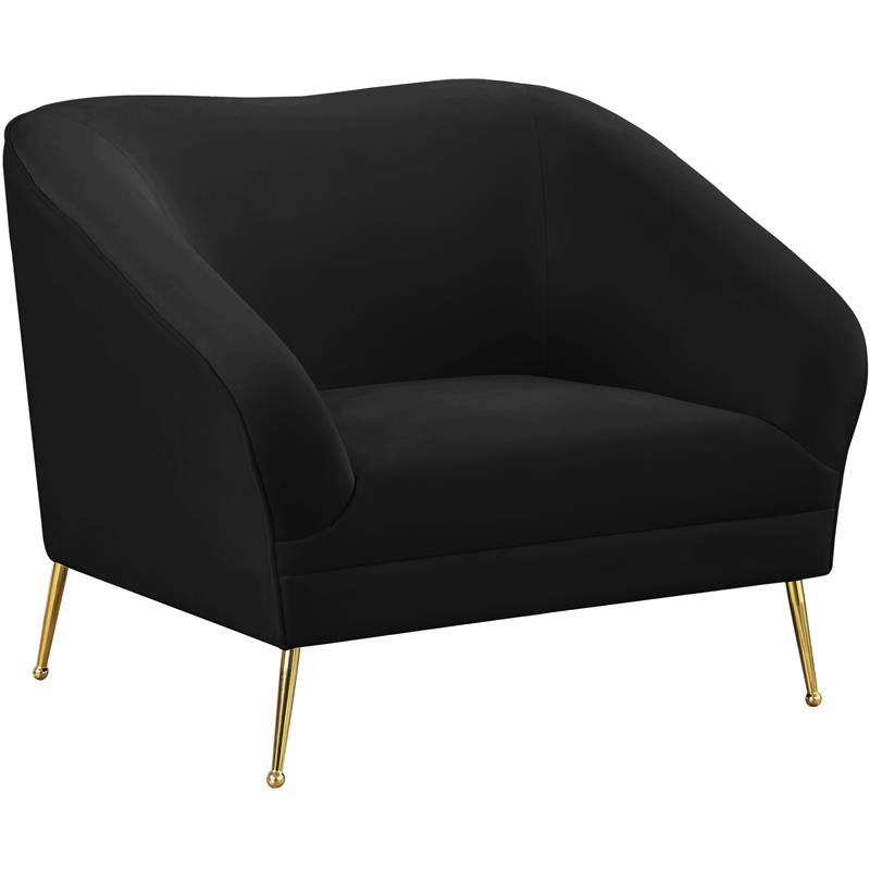 Meridian Furniture Hermosa Black Velvet Chair