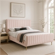 Meridian Furniture Zara Contemporary Pink Velvet Queen Bed