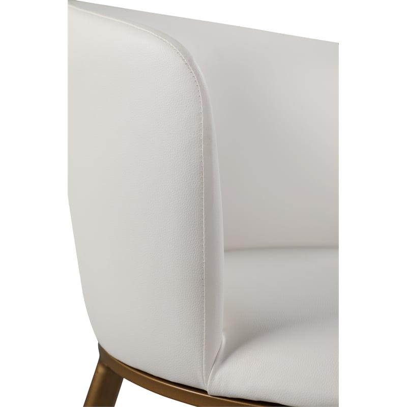 Meridian Furniture Skylar White Vegan Leather Dining Chair (Set of 2)