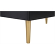 Meridian Furniture Zayne Contemporary Metal Chest in Rich Black Finish