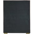 Meridian Furniture Nora Rich Pink Velvet Twin Bed with Gold/Chrome Legs Included